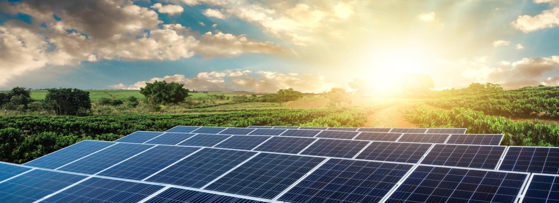 Renewable Energy