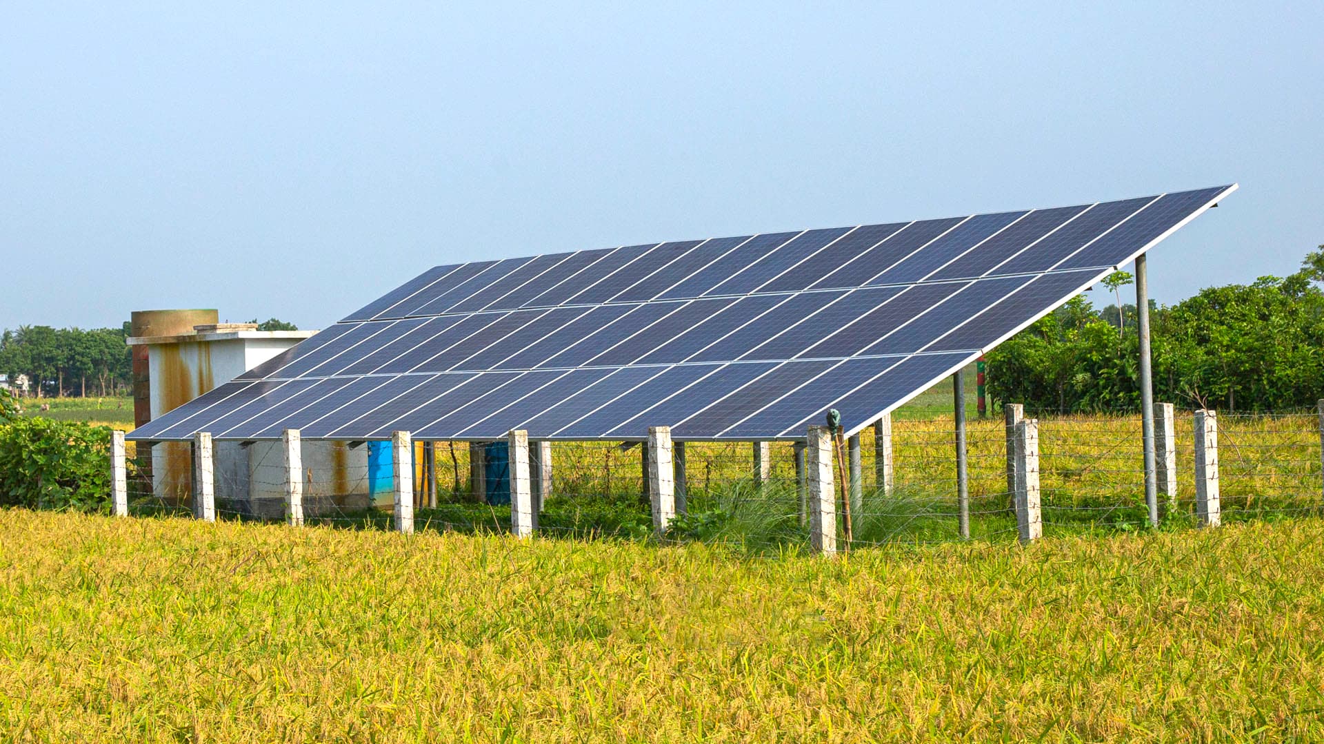 Renewable Energy