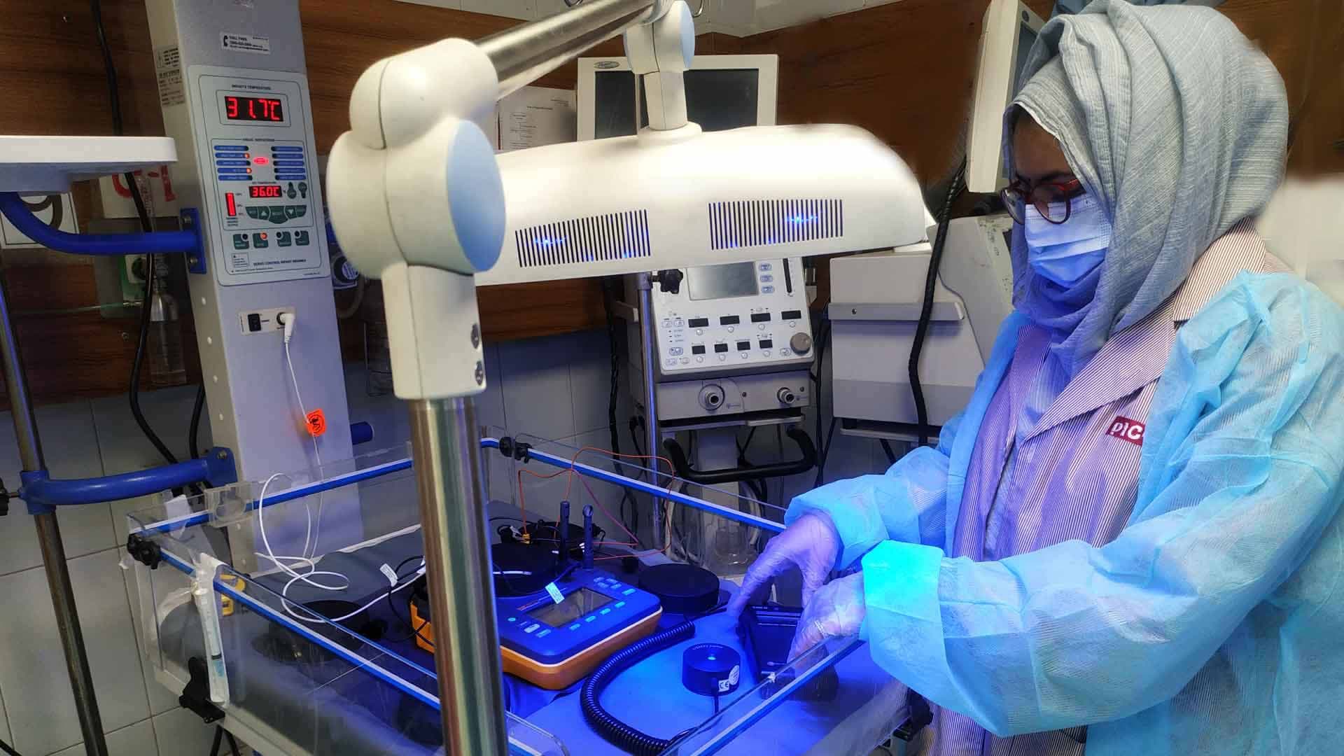 Biomedical & Healthcare