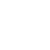 Survey & Inspection icon